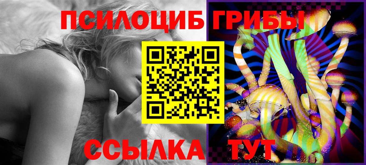 Псилоцибиновые грибы GOLDEN TEACHER Коммунар