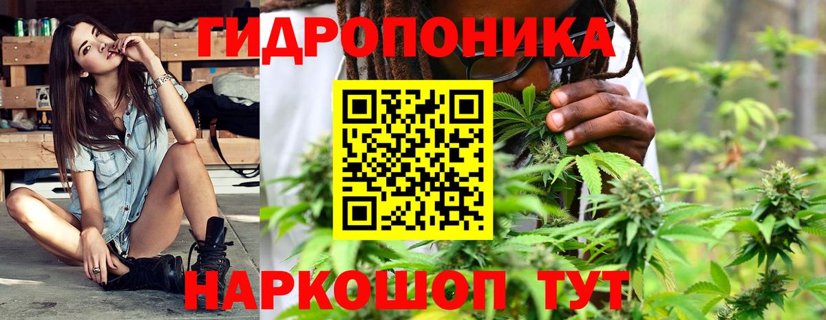 Коммунар  Бошки Шишки LSD WEED  Каннабис Bruce Banner  МАРИХУАНА MAZAR  Вход с VPN 